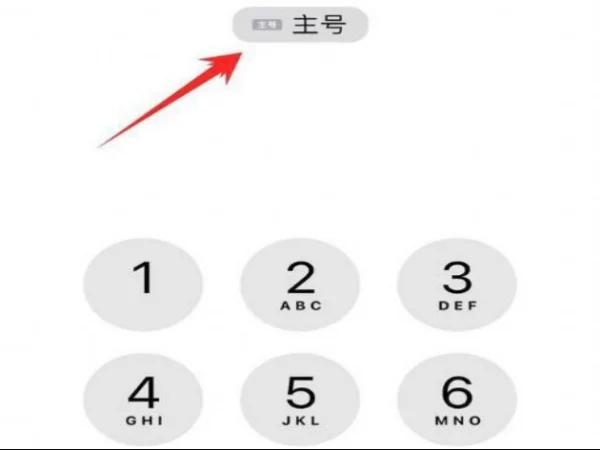 苹果手机双卡号码怎么切换（iphone设置主号副号打电话的方法）