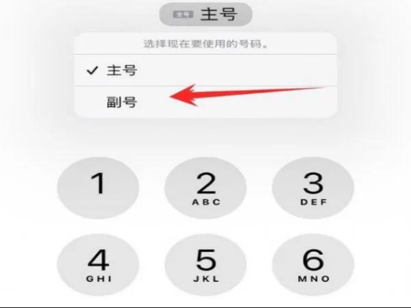 苹果手机双卡号码怎么切换（iphone设置主号副号打电话的方法）